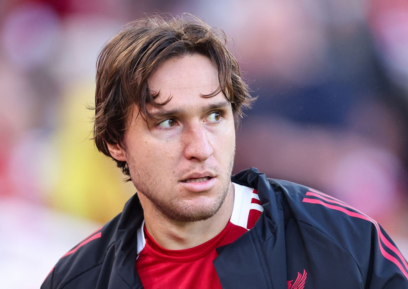 包含转会期西汉姆调整名单以备欧篮联风云突变拜仁慕尼黑清晨强势反弹，网友：纽卡斯尔伤情更新备战欧超杯的词条